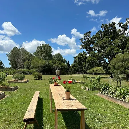 Jolie Maison Au Bord Du Petit Rhone - Le Mazet Σπίτι διακοπών