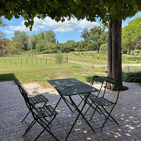 Jolie Maison Au Bord Du Petit Rhone - Le Mazet *