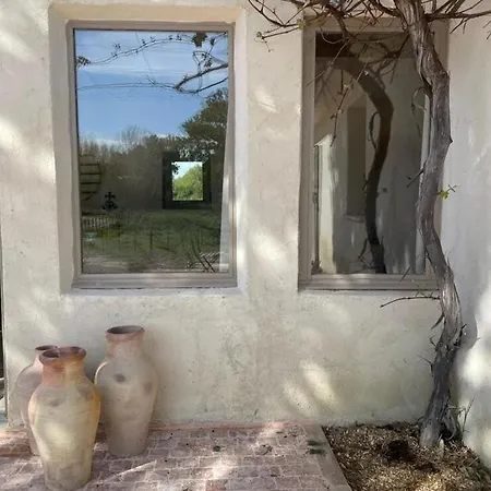 Σπίτι διακοπών Jolie Maison Au Bord Du Petit Rhone - Le Mazet *
