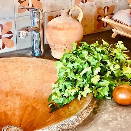 Jolie Maison Au Bord Du Petit Rhone - Le Mazet Σπίτι διακοπών *
